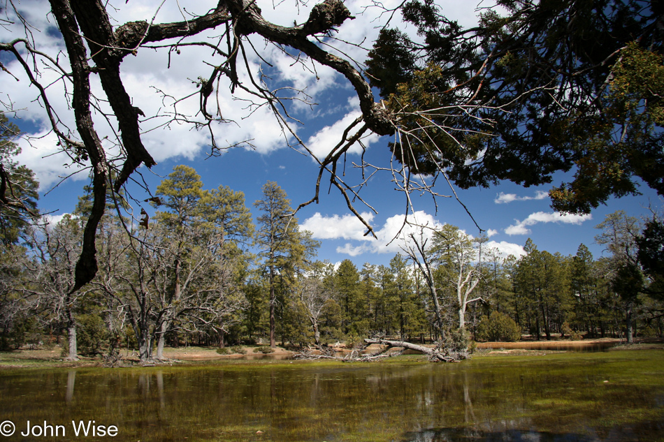 A temporary meadow lake created by melting snows on the Mogollon Rim in Arizona