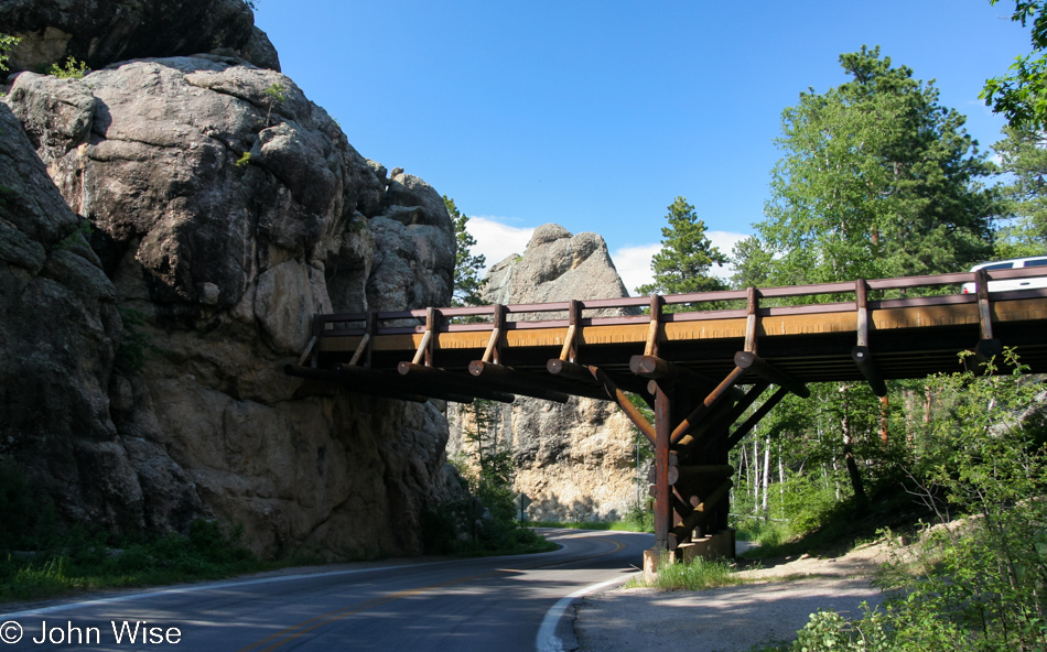 Custer State Park in South Dakota