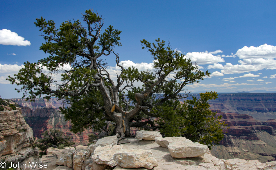 North Rim of the Grand Canyon National Park in Arizona