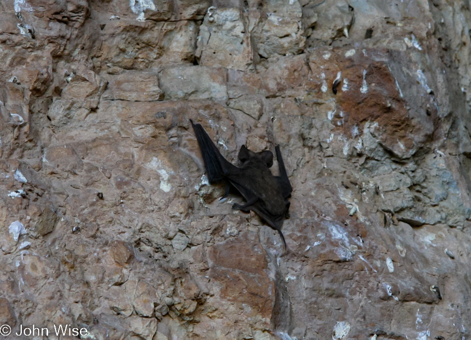 Carlsbad Caverns National Park in New Mexico