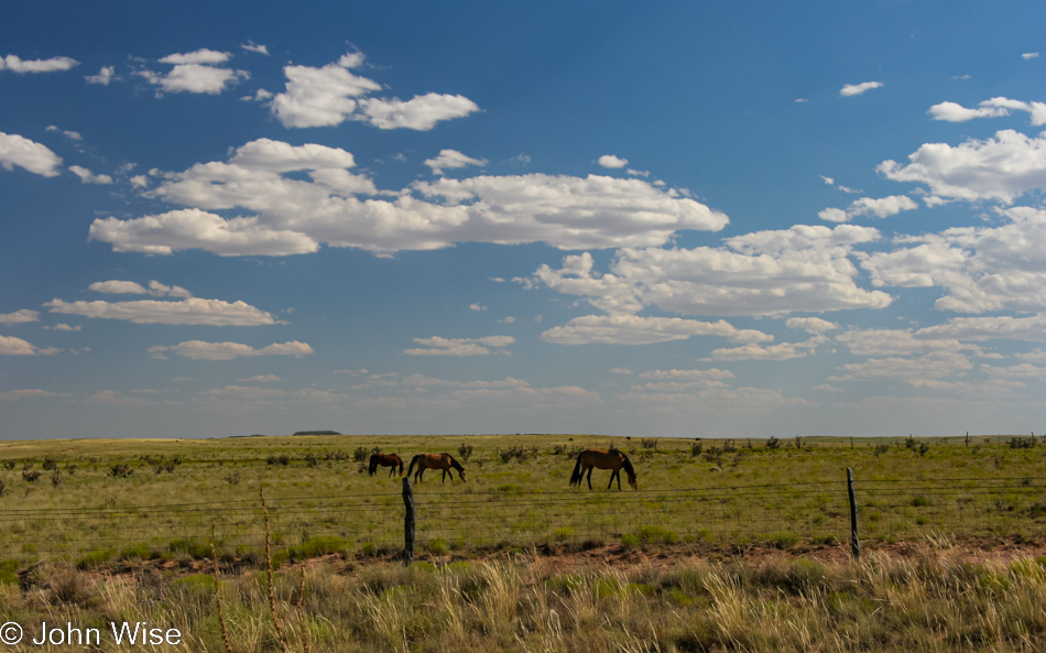 Encino, New Mexico