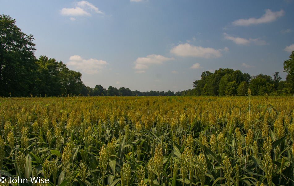 Illinois