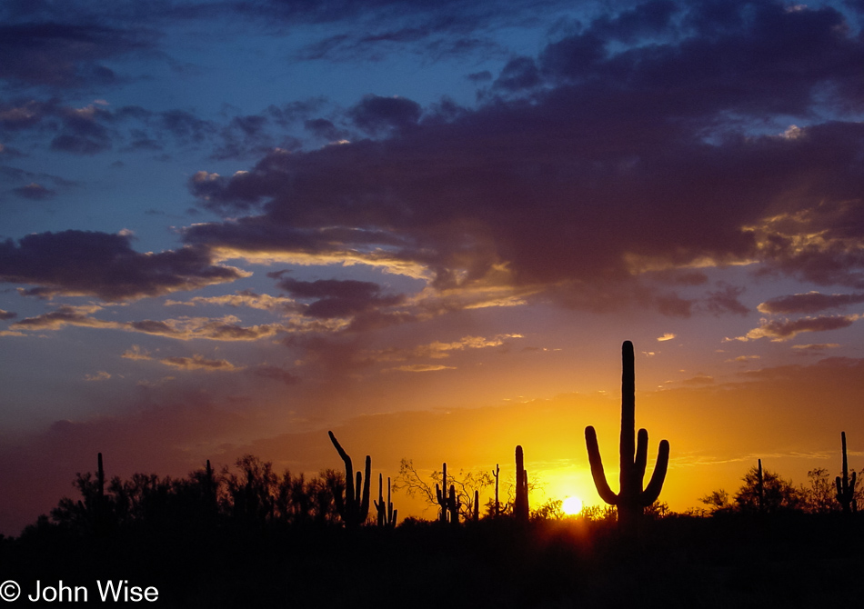 Arizona sunset