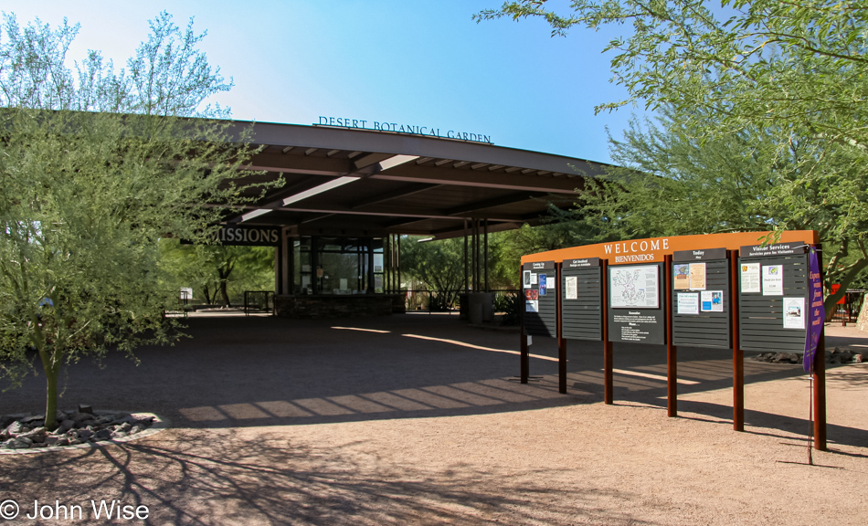 Desert Botanical Garden in Phoenix, Arizona