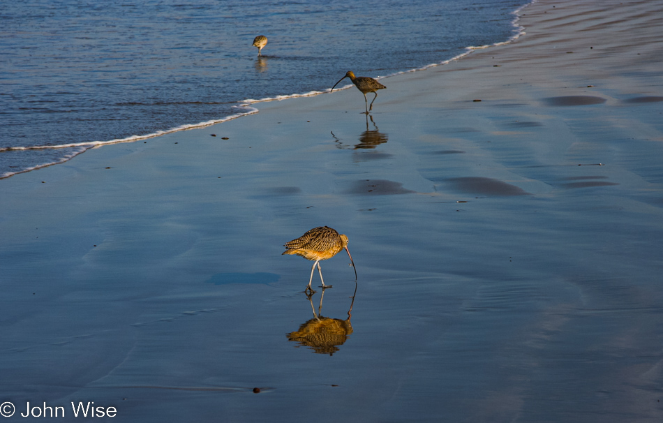 Early morning at Morro Bay, California