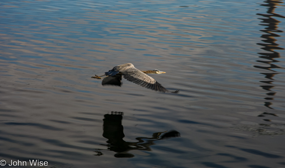 Early morning at Morro Bay, California