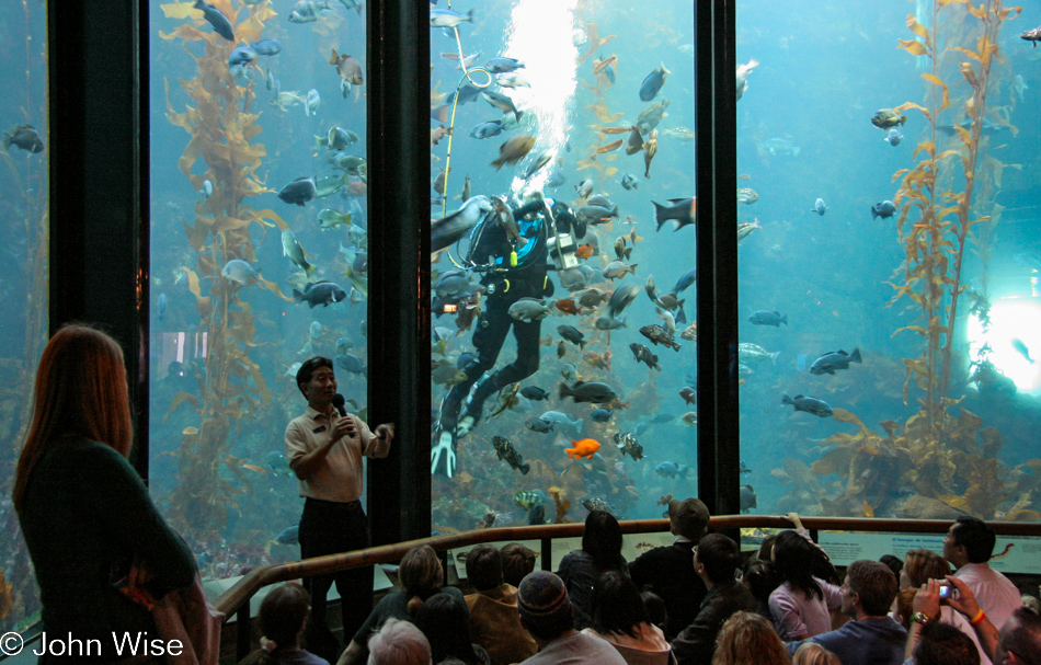 Monterey Bay Aquarium in Monterey, California