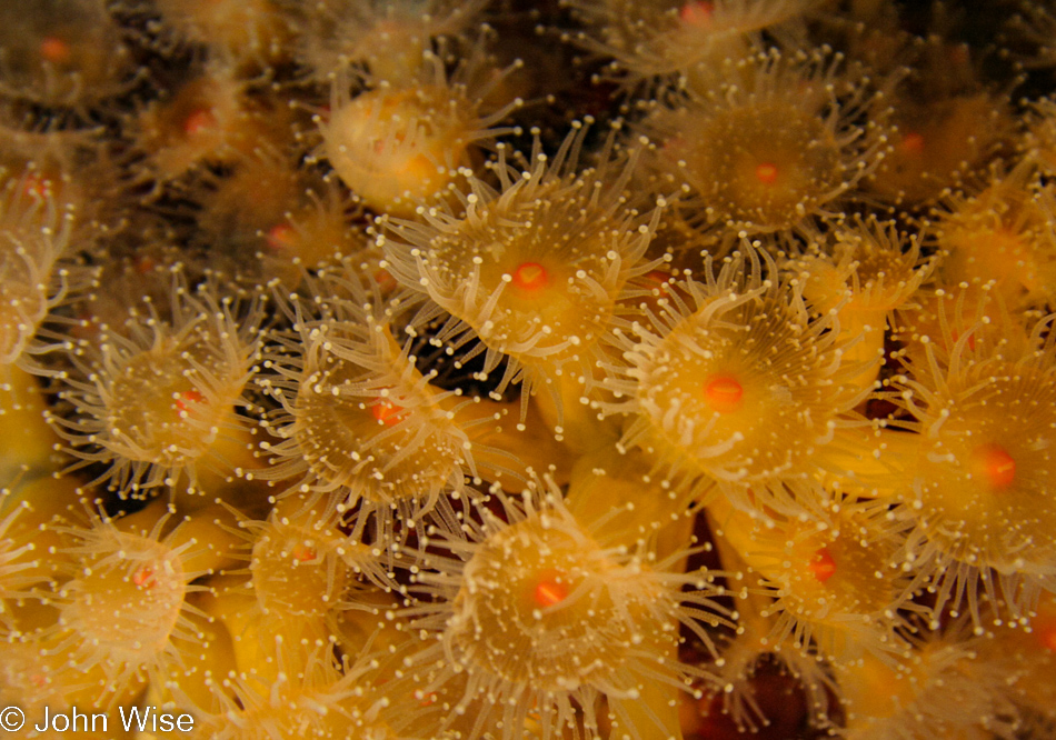 Monterey Bay Aquarium in Monterey, California