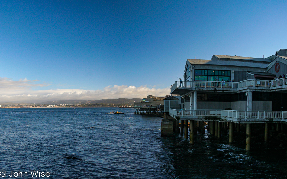 Monterey Bay Aquarium in Monterey, California