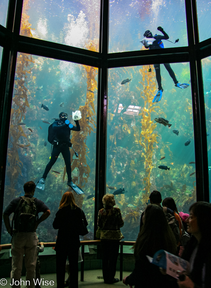 Monterey Bay Aquarium in Monterey, California