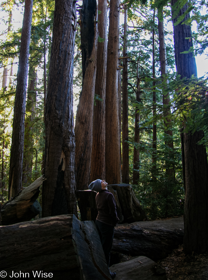 Caroline Wise at the Pfeiffer Big Sur State Park in California