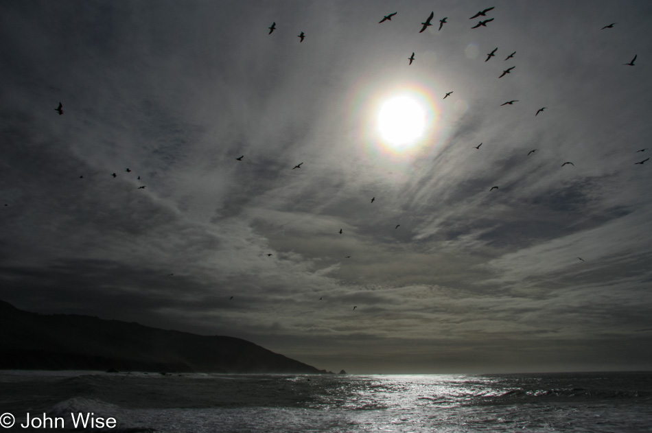 Andrew Molera State Park in Big Sur, California