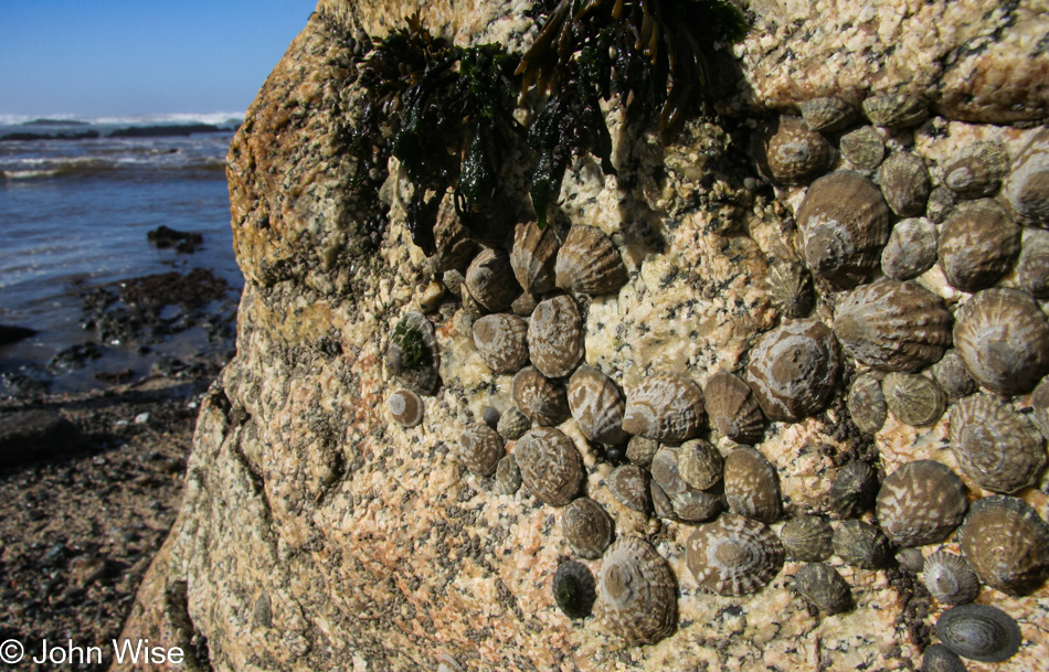 Moss Beach in California