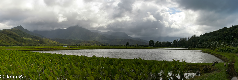 Hanalei Valley in Princeville, Kauai, Hawaii