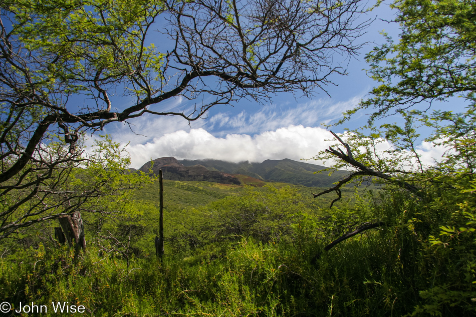 On the road in Molokai, Hawaii