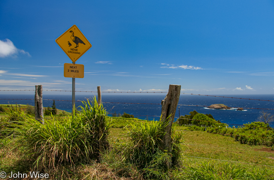 On the road in Molokai, Hawaii