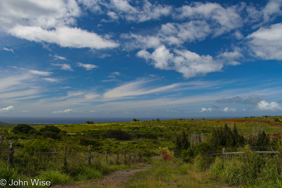 Near Maunaloa on Molokai, Hawaii