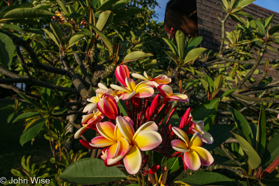 Molokai, Hawaii