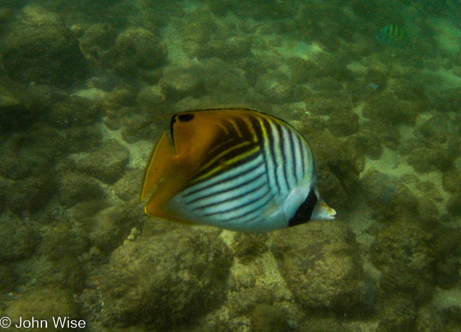 Snorkeling at Lawa'i Beach in Koloa, Kauai, Hawaii