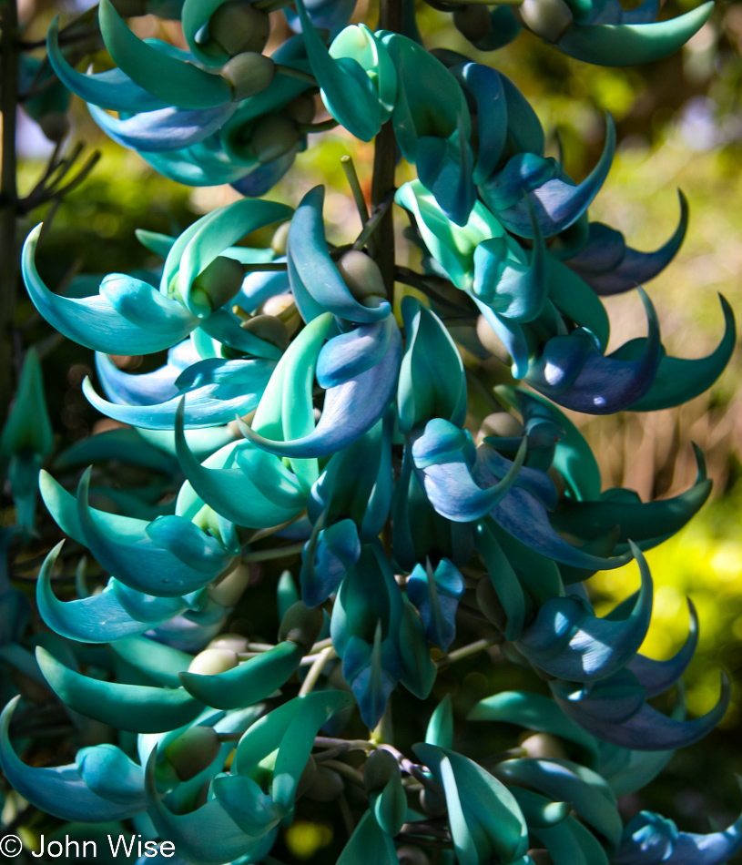 National Tropical Botanical Garden on Kauai, Hawaii