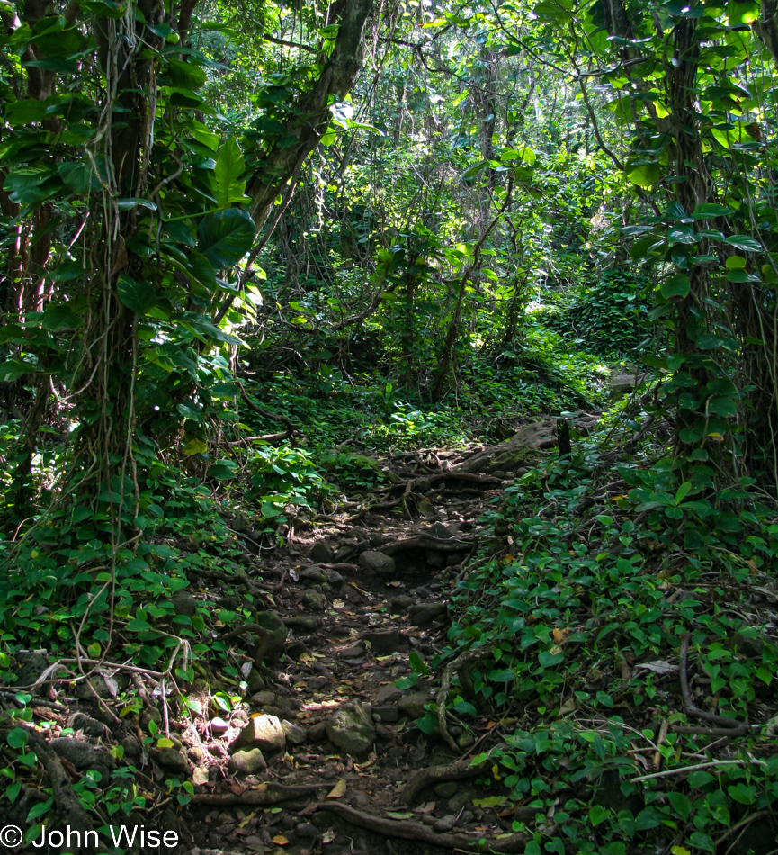 On the Kalalau Trail to the Nā Pali Coast on Kauai, Hawaii