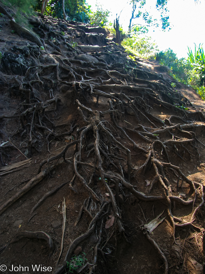 On the Kalalau Trail to the Nā Pali Coast on Kauai, Hawaii