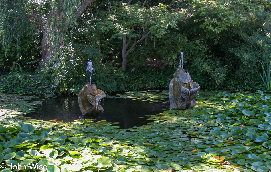 Descanso Garden in La Cañada Flintridge, California