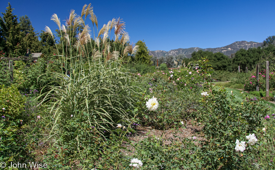 Descanso Garden in La Cañada Flintridge, California
