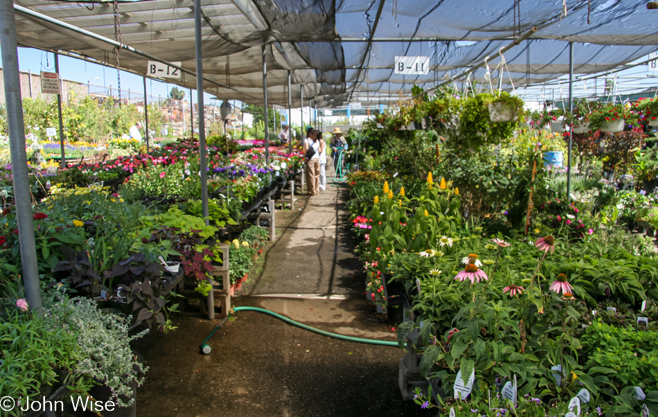 San Gabriel Nursery in California