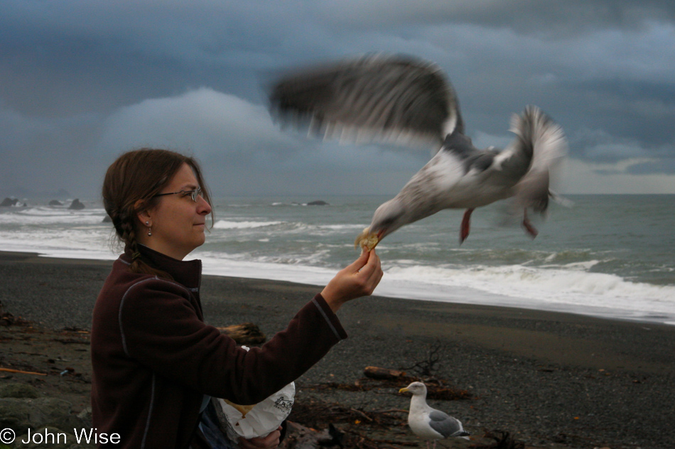 Caroline Wise feeding seagulls in Newport, Oregon