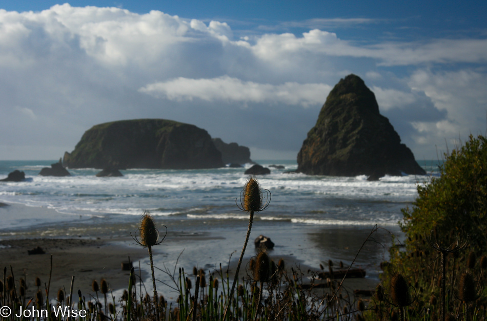 Whalehead Beach in Brookings, Oregon