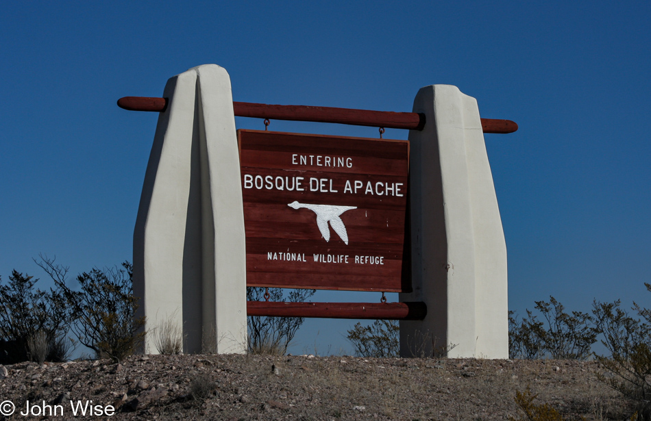 Bosque del Apache near Socorro, New Mexico