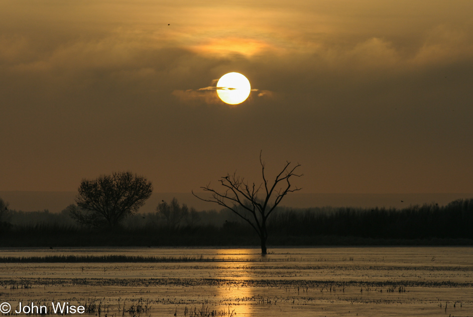 Sunrise at Bosque del Apache National Wildlife Refuge in New Mexico