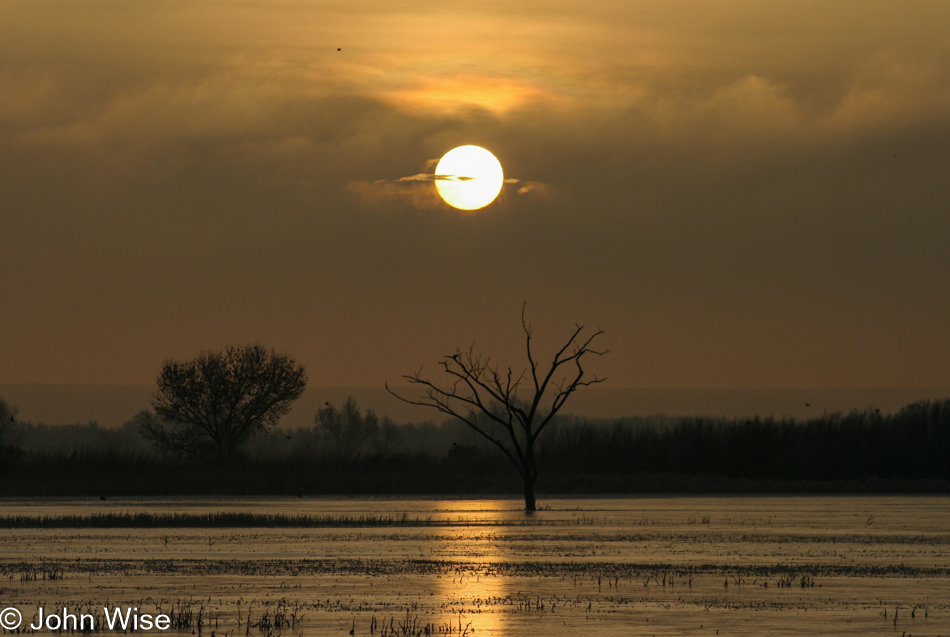 Sunrise at Bosque del Apache National Wildlife Refuge in New Mexico