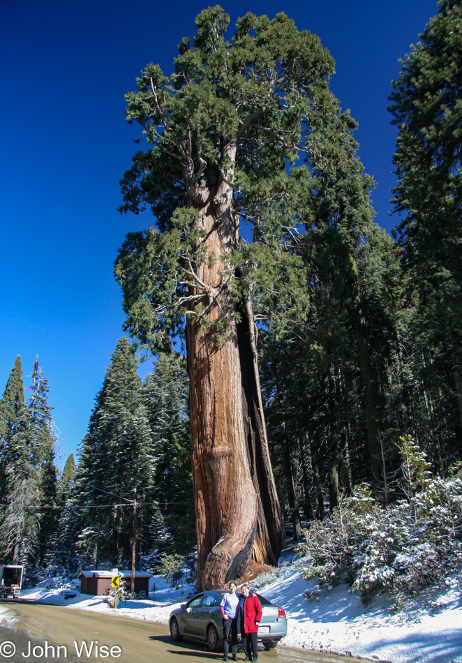 Giant Sequoia National Monument in California