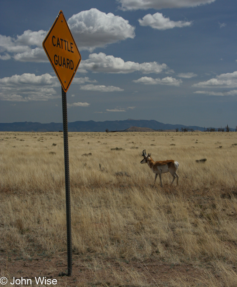 Driving from Socorro, New Mexico to Arizona