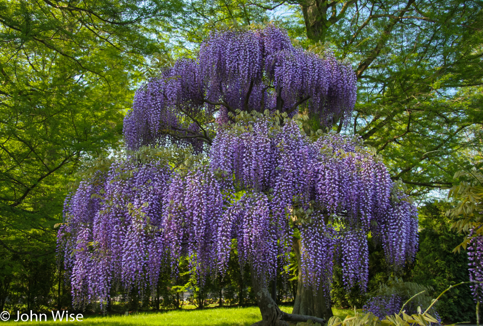 Longwood Gardens in Chester County, Pennsylvania