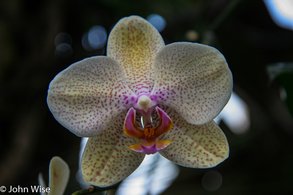 Longwood Gardens in Chester County, Pennsylvania