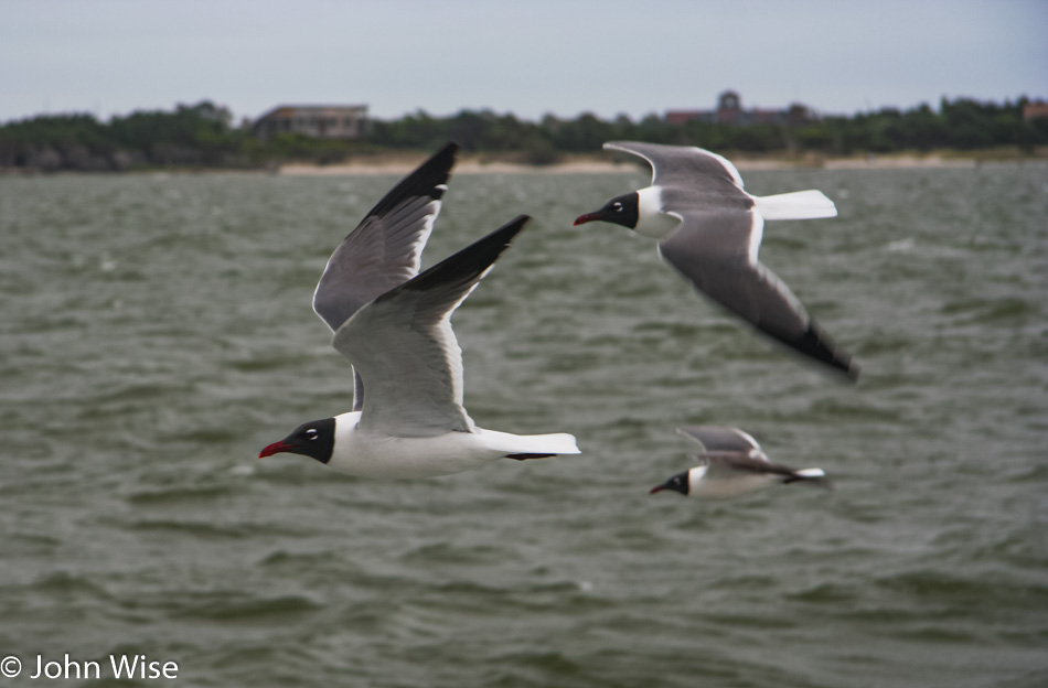 Ocracoke, North Carolina