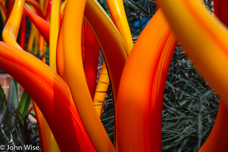 Dale Chihuly glass art at the Phipps Conservatory in Pittsburgh, Pennsylvania