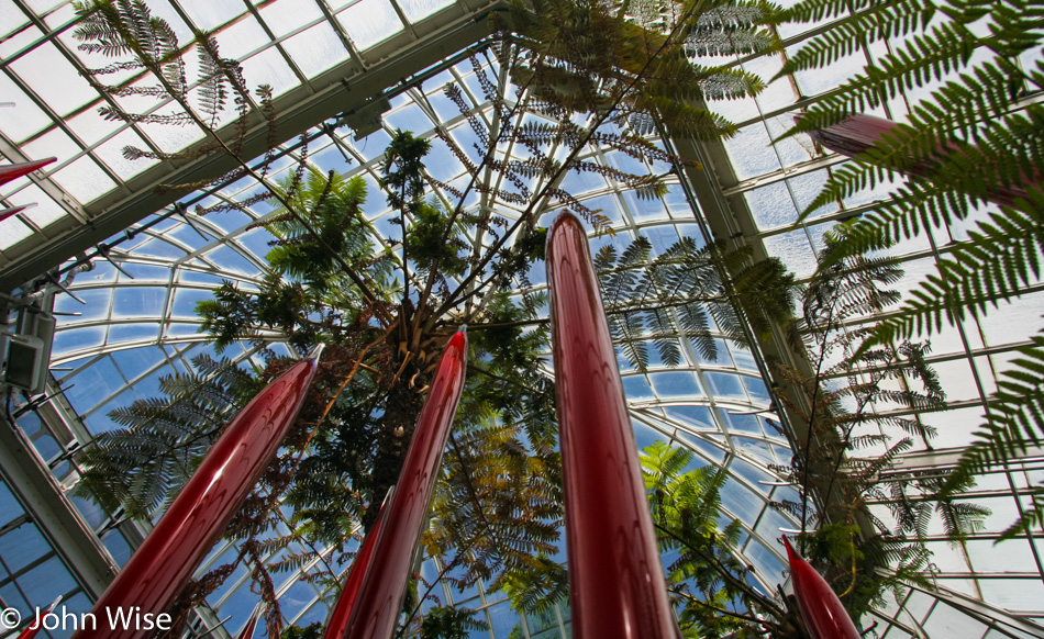 Dale Chihuly glass art at the Phipps Conservatory in Pittsburgh, Pennsylvania