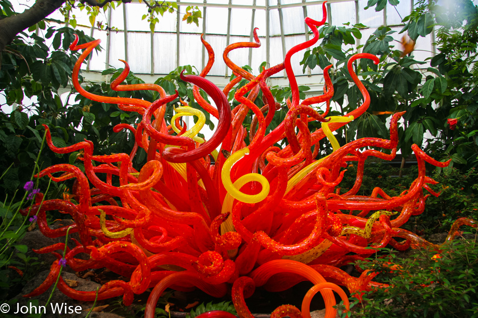 Dale Chihuly glass art at the Phipps Conservatory in Pittsburgh, Pennsylvania