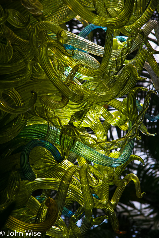 Dale Chihuly glass art at the Phipps Conservatory in Pittsburgh, Pennsylvania