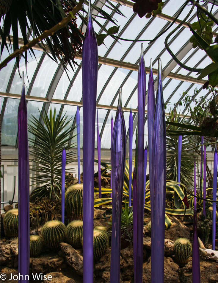 Dale Chihuly glass art at the Phipps Conservatory in Pittsburgh, Pennsylvania