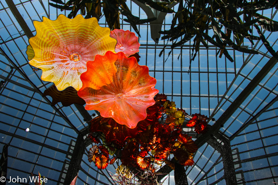 Dale Chihuly glass art at the Phipps Conservatory in Pittsburgh, Pennsylvania