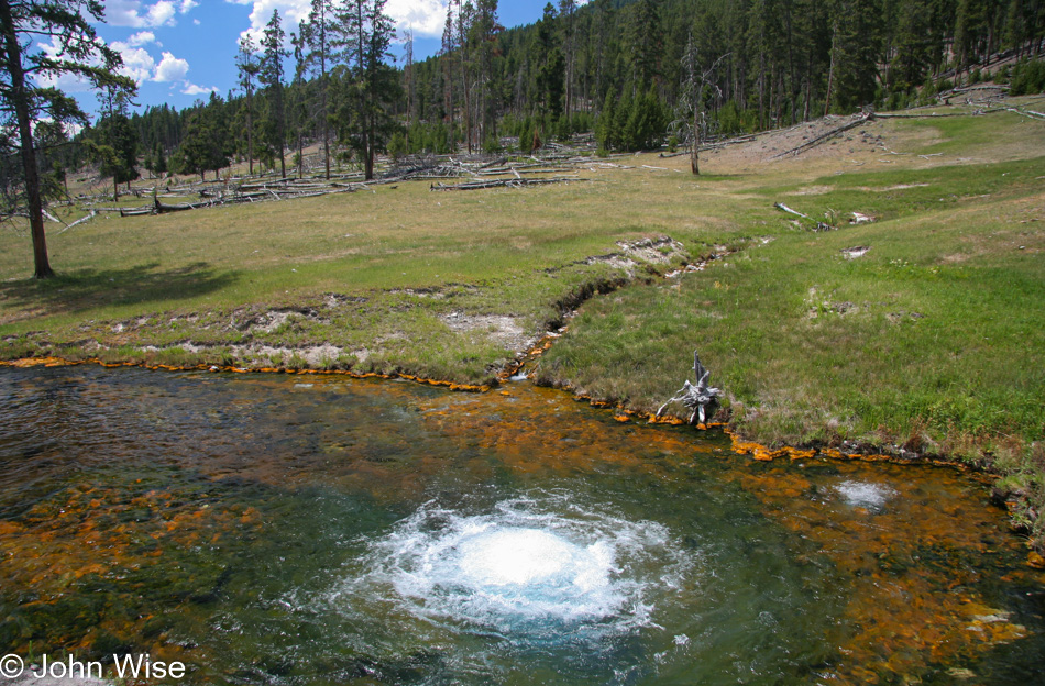 Yellowstone National Park in Wyoming