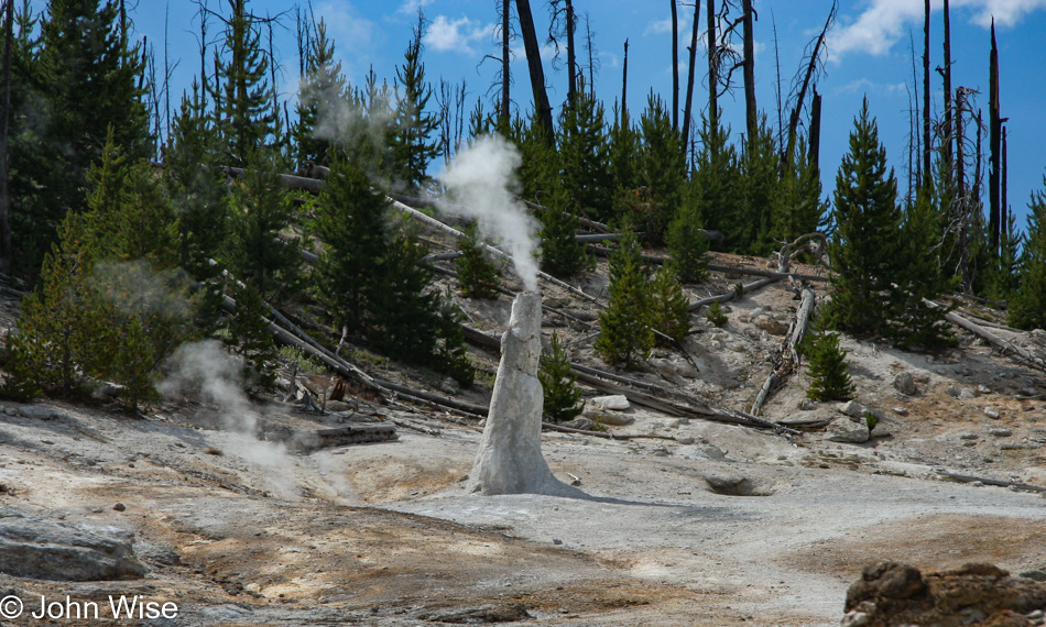 Yellowstone National Park in Wyoming