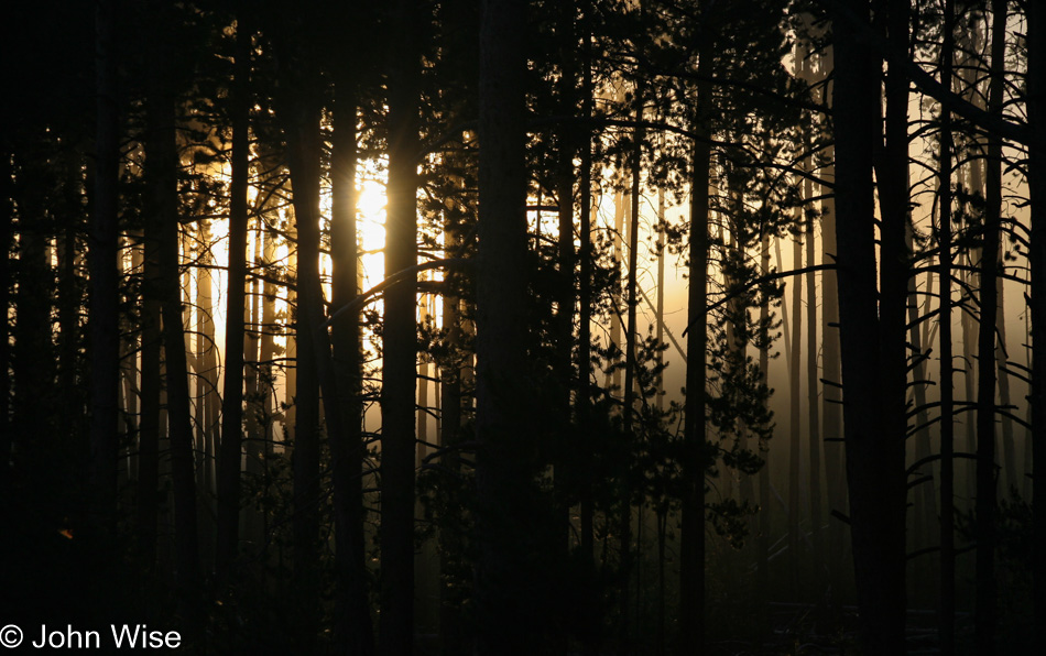 Yellowstone National Park in Wyoming