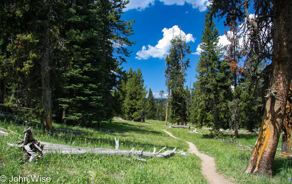 Yellowstone National Park in Wyoming