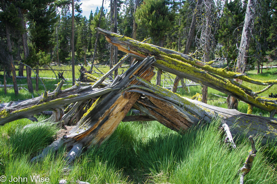 Yellowstone National Park in Wyoming